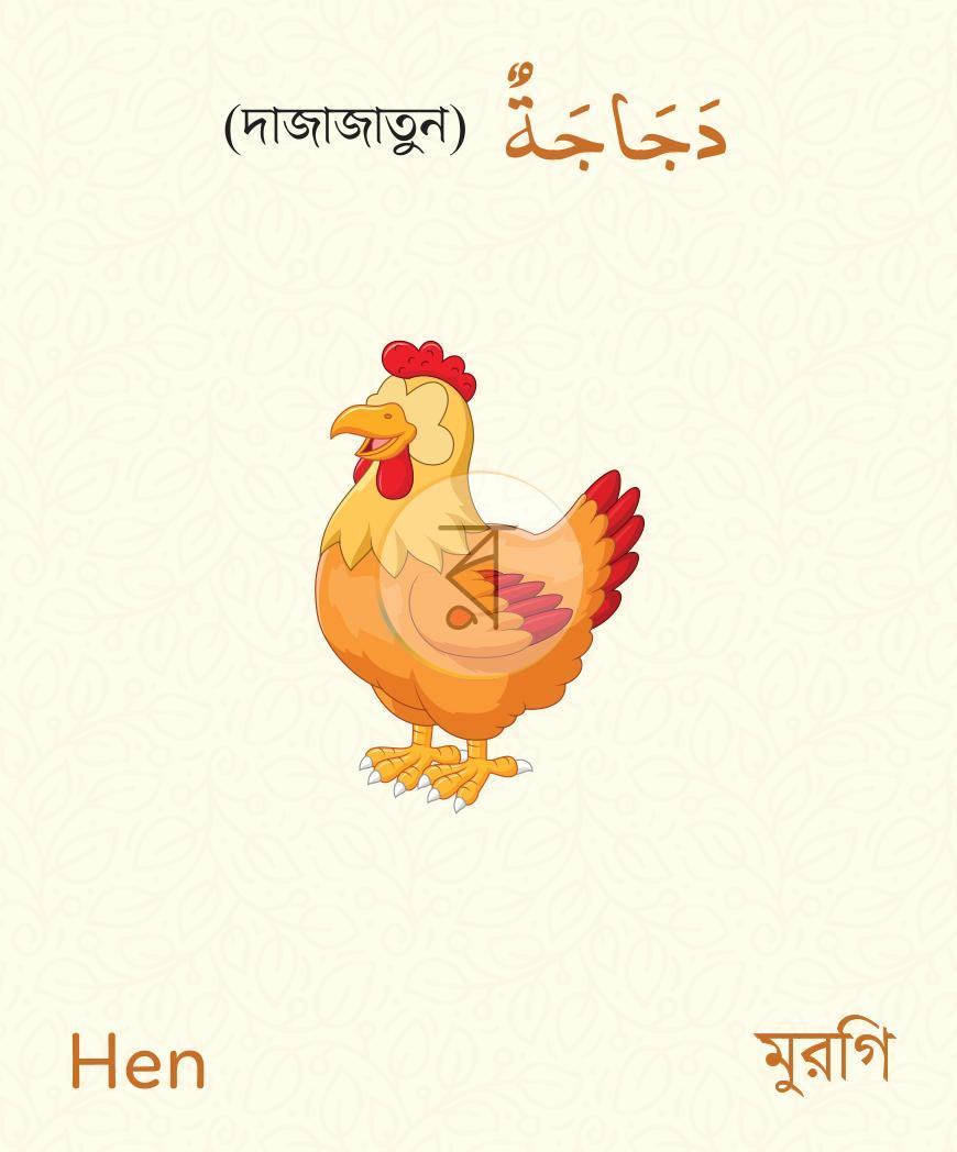 পাতা 2
