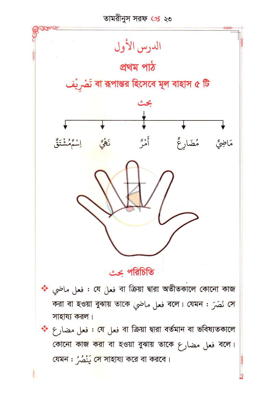 পাতা 7