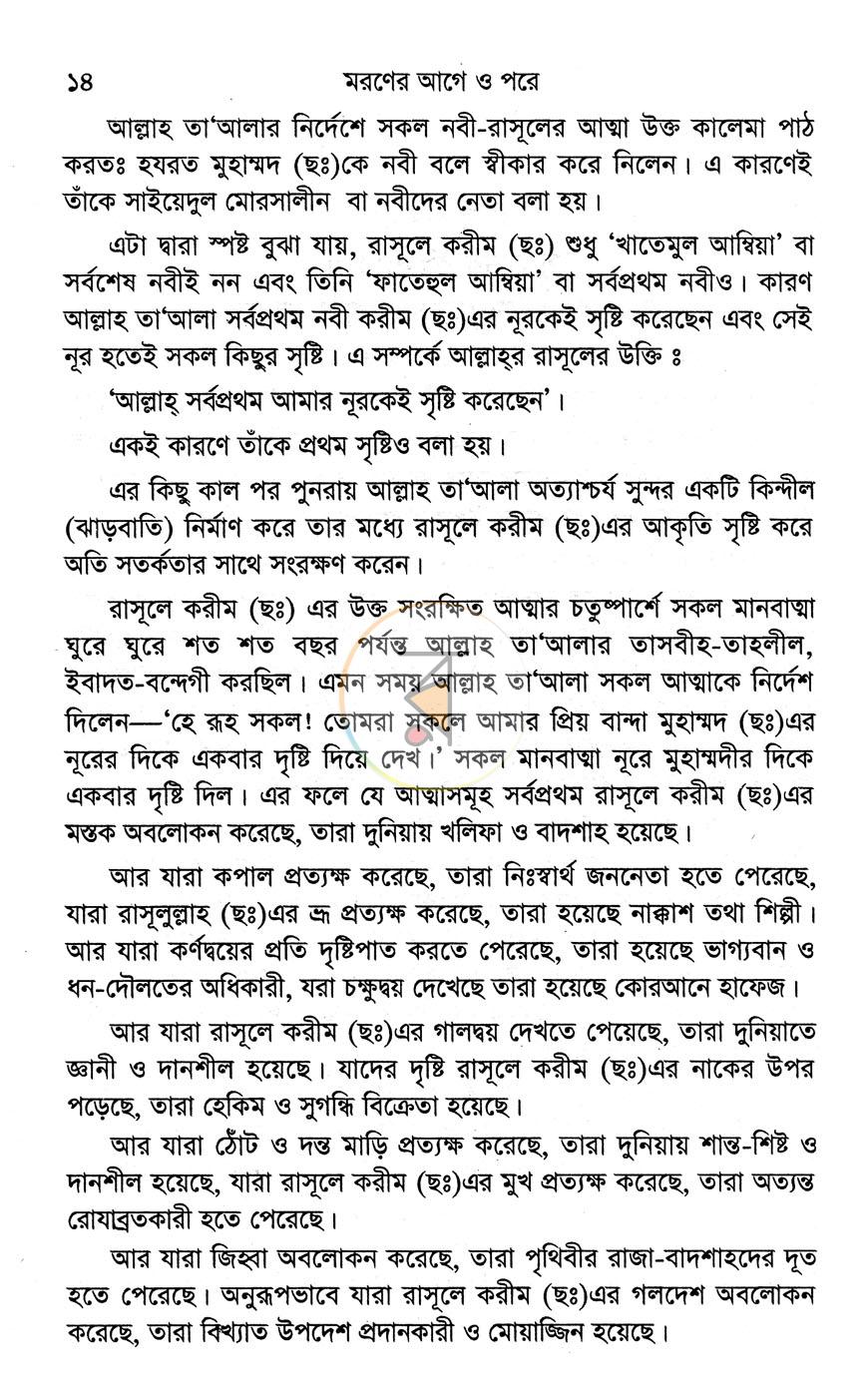 পাতা 8