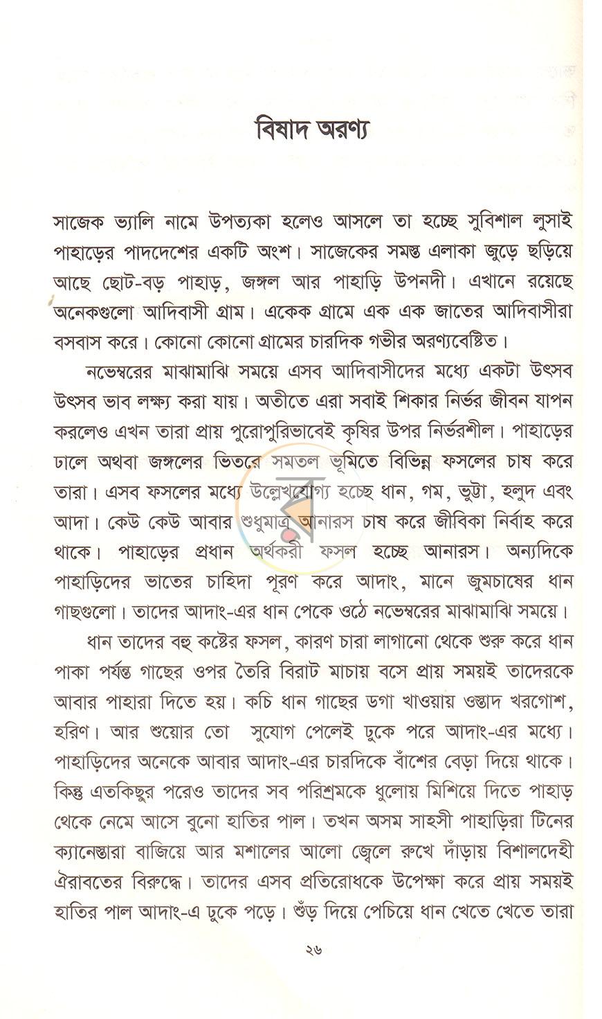 পাতা 11