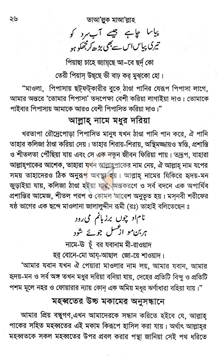 পাতা 13