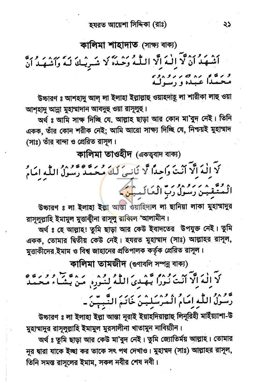 পাতা 12