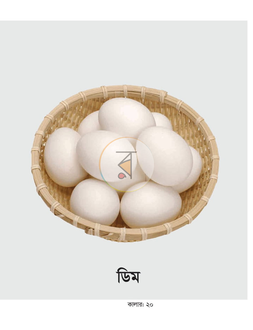 পাতা 28