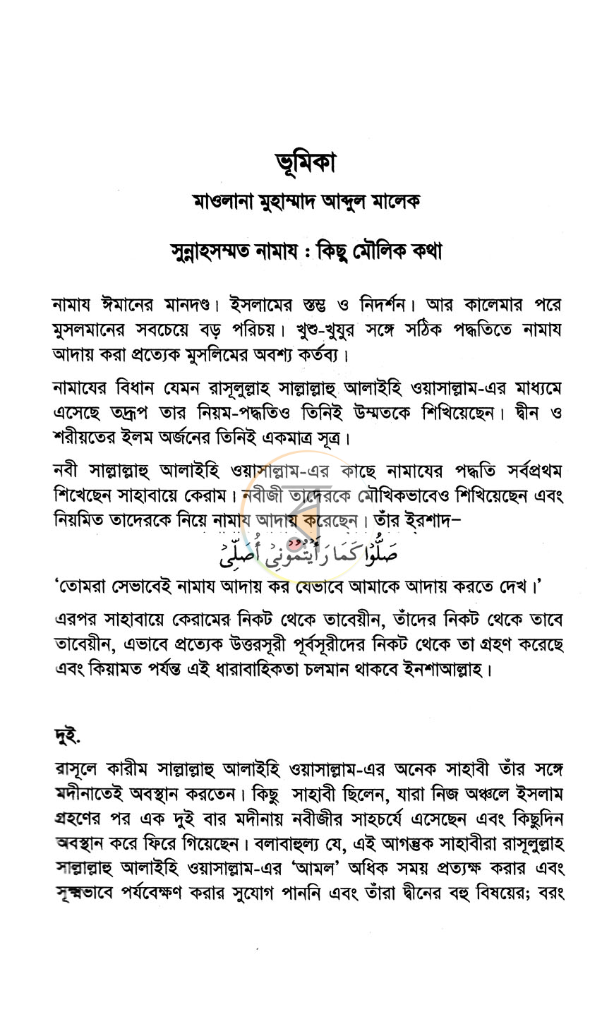 পাতা 11