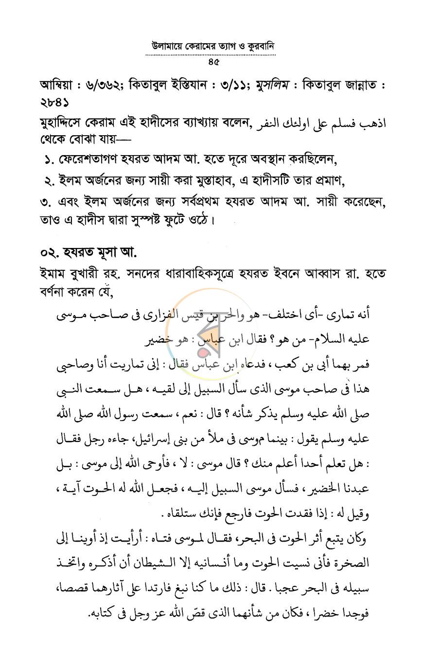 পাতা 11