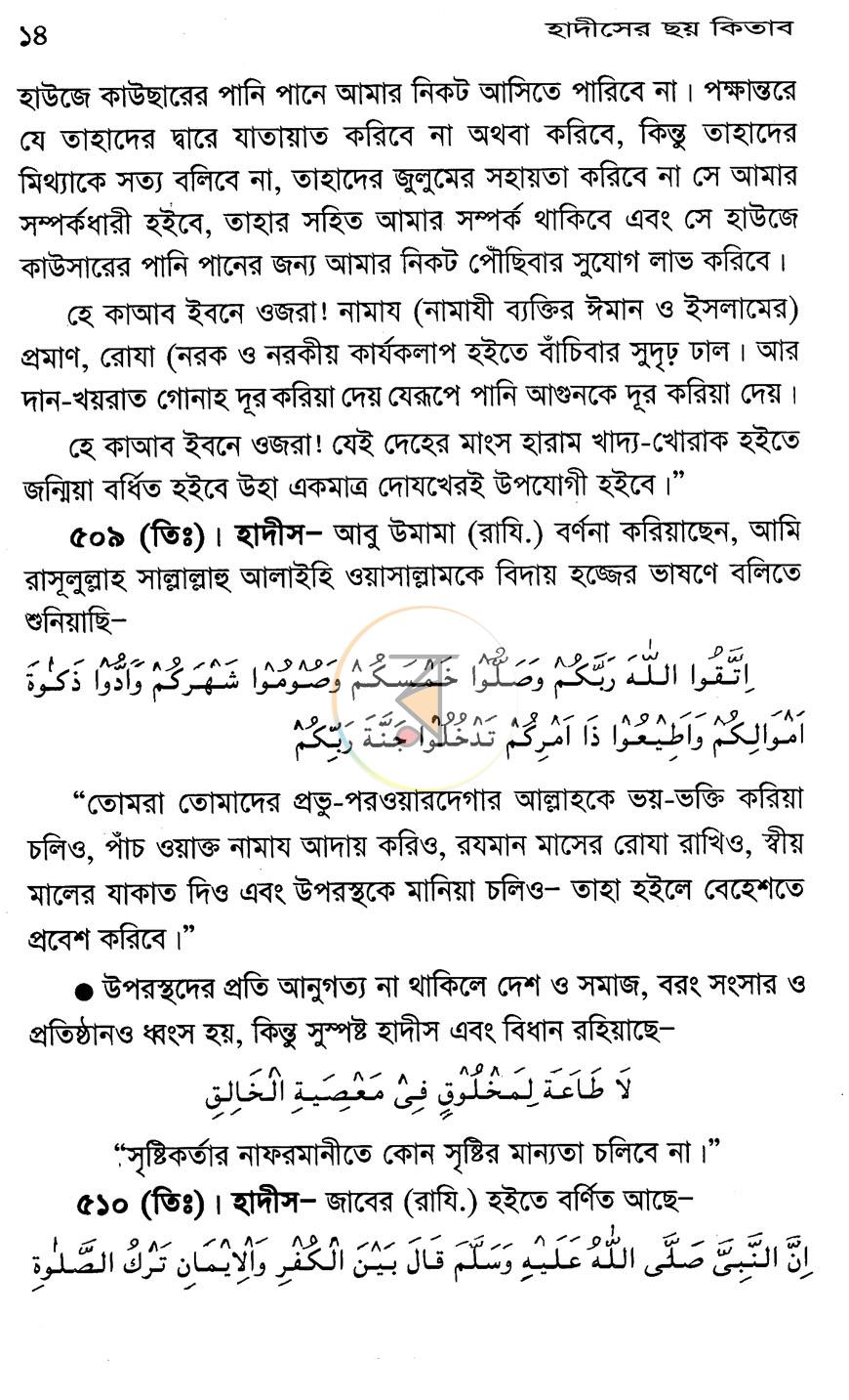 পাতা 5