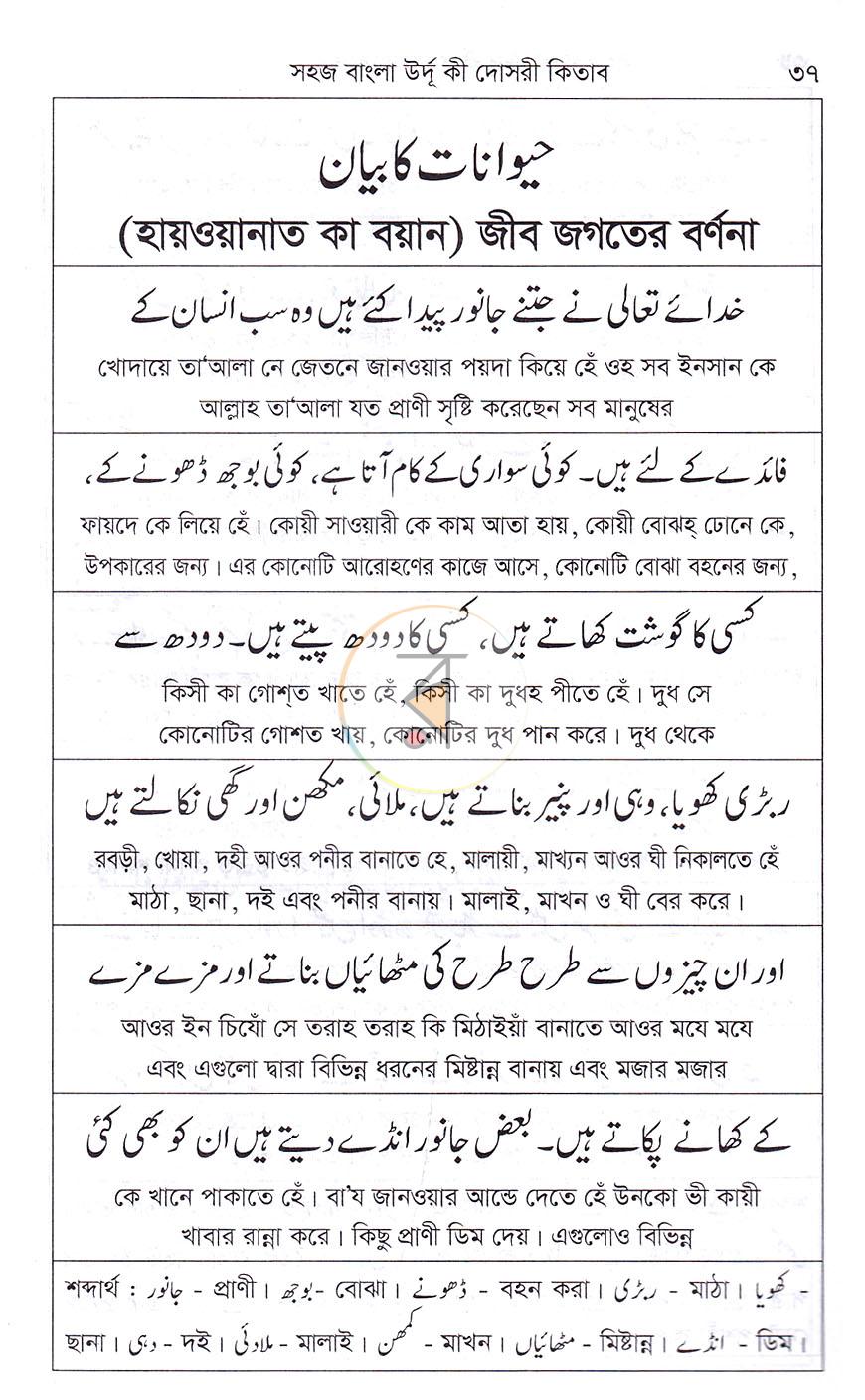পাতা 19