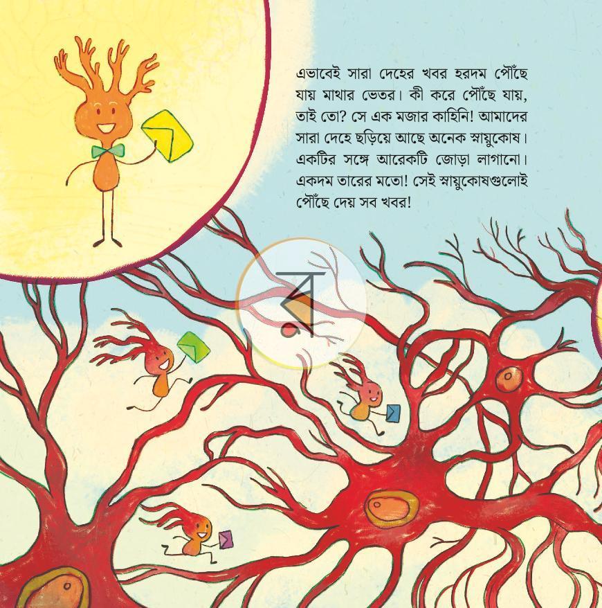 পাতা 13