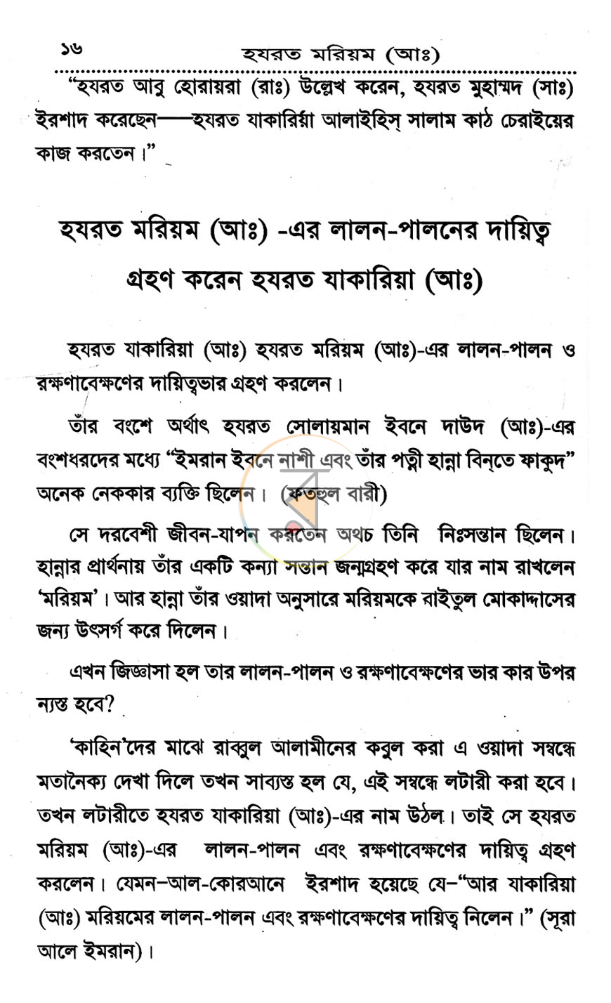 পাতা 11