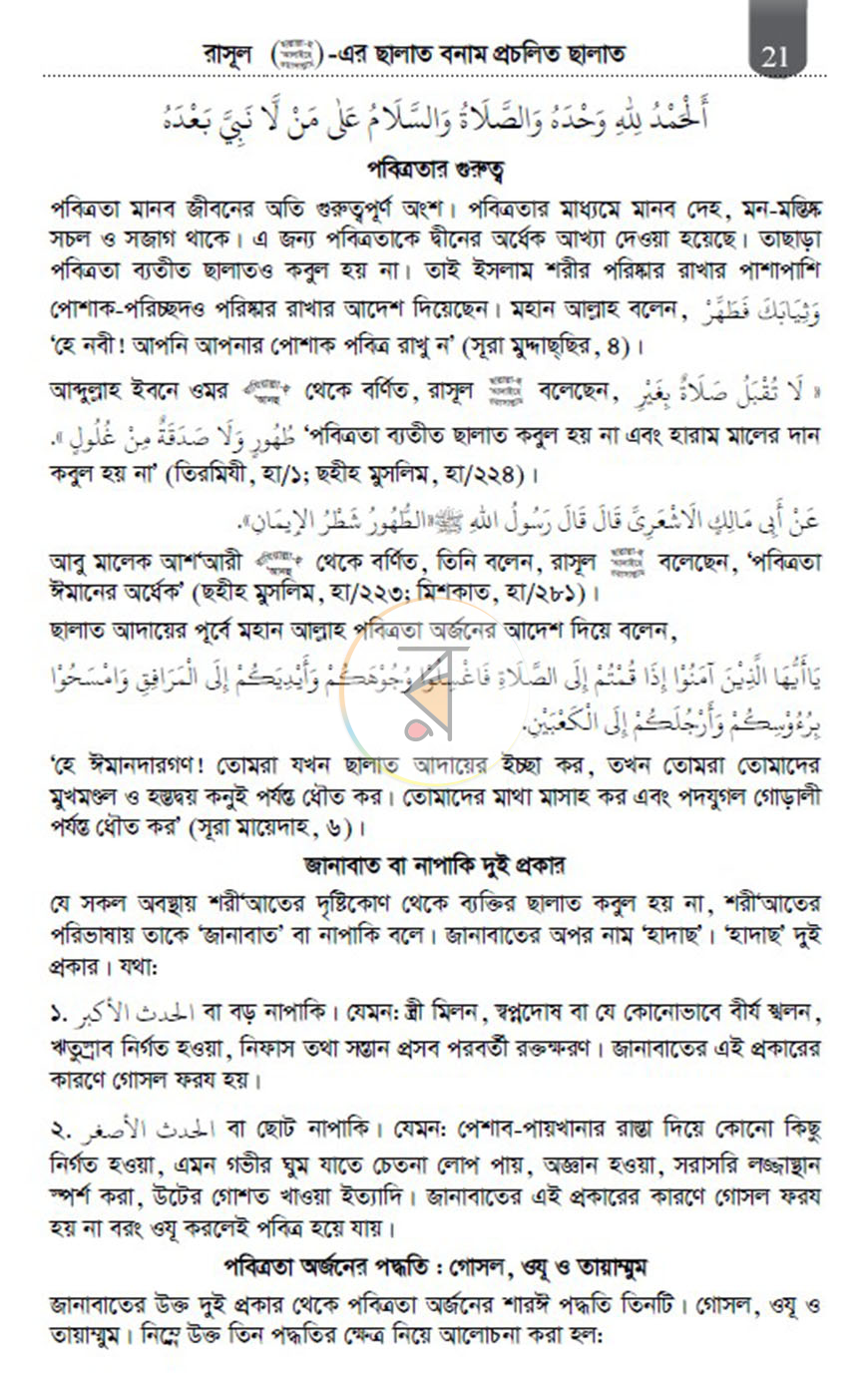 পাতা 11