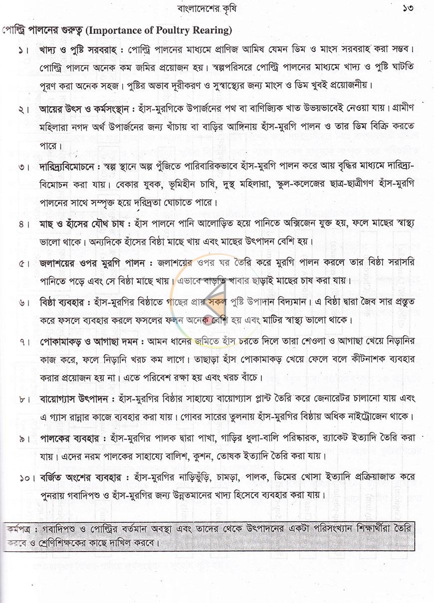 পাতা 13