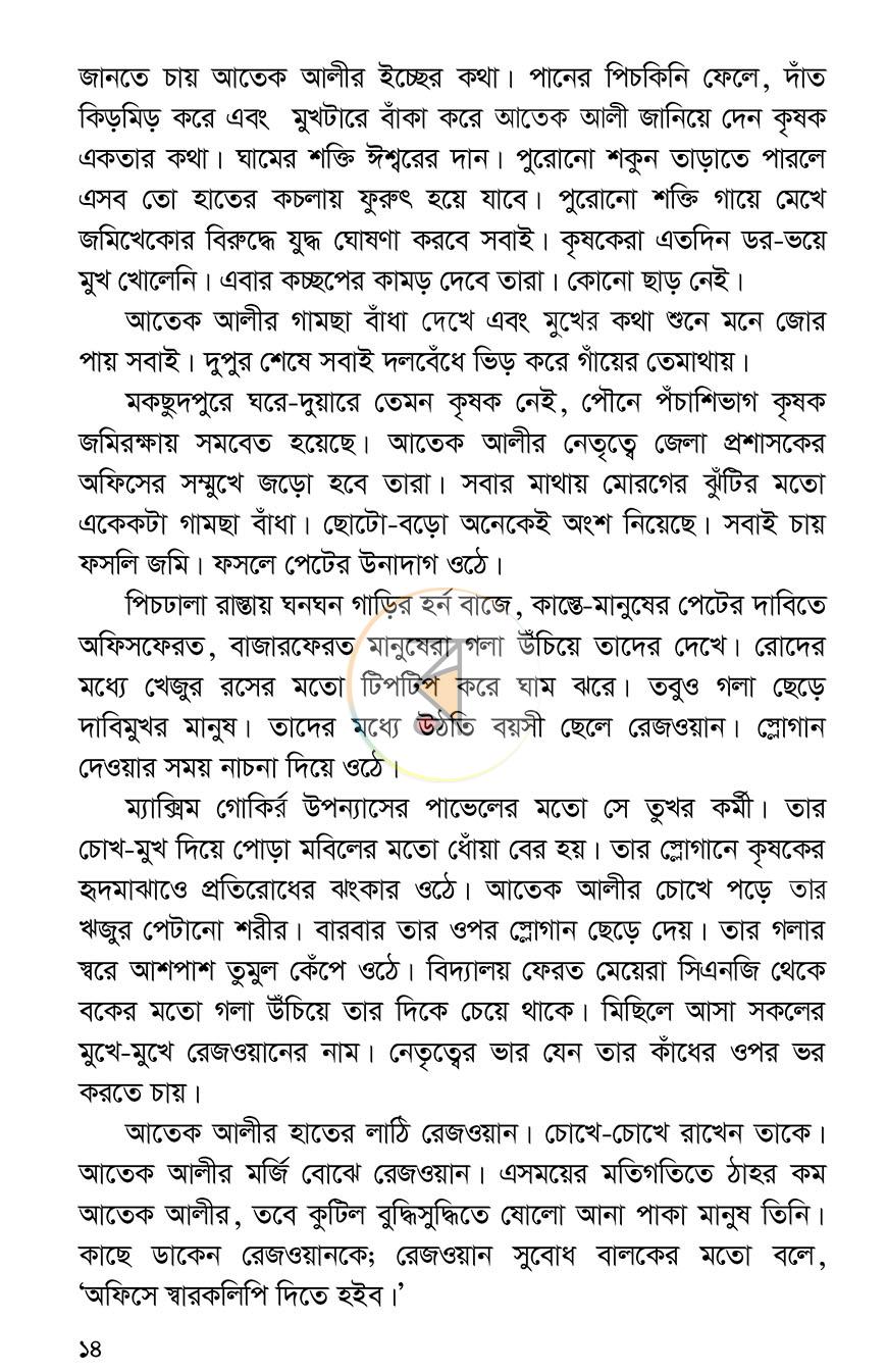 পাতা 11