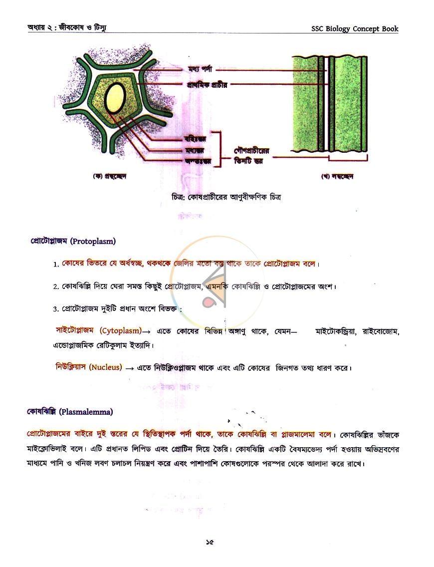 পাতা 12