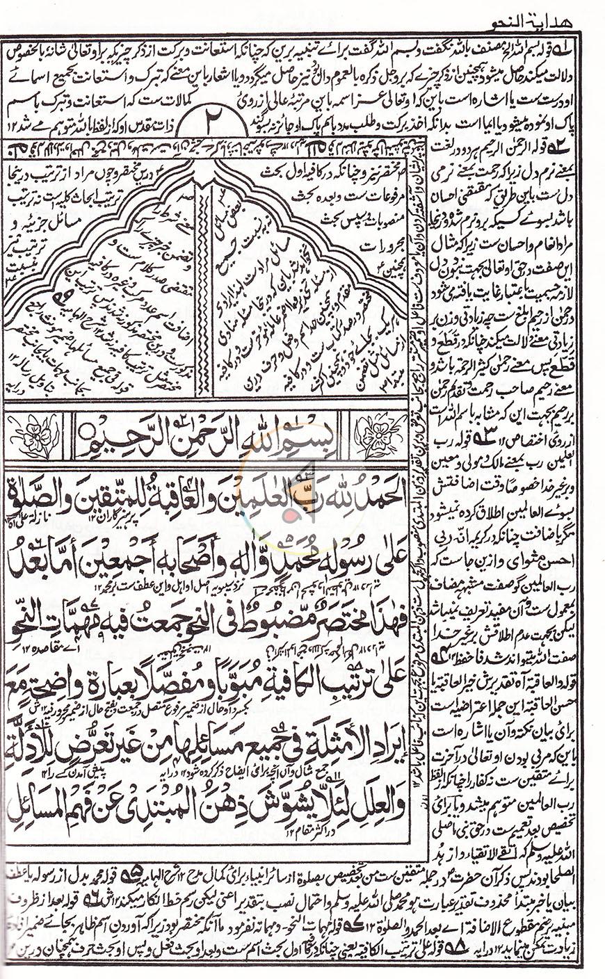 পাতা 10