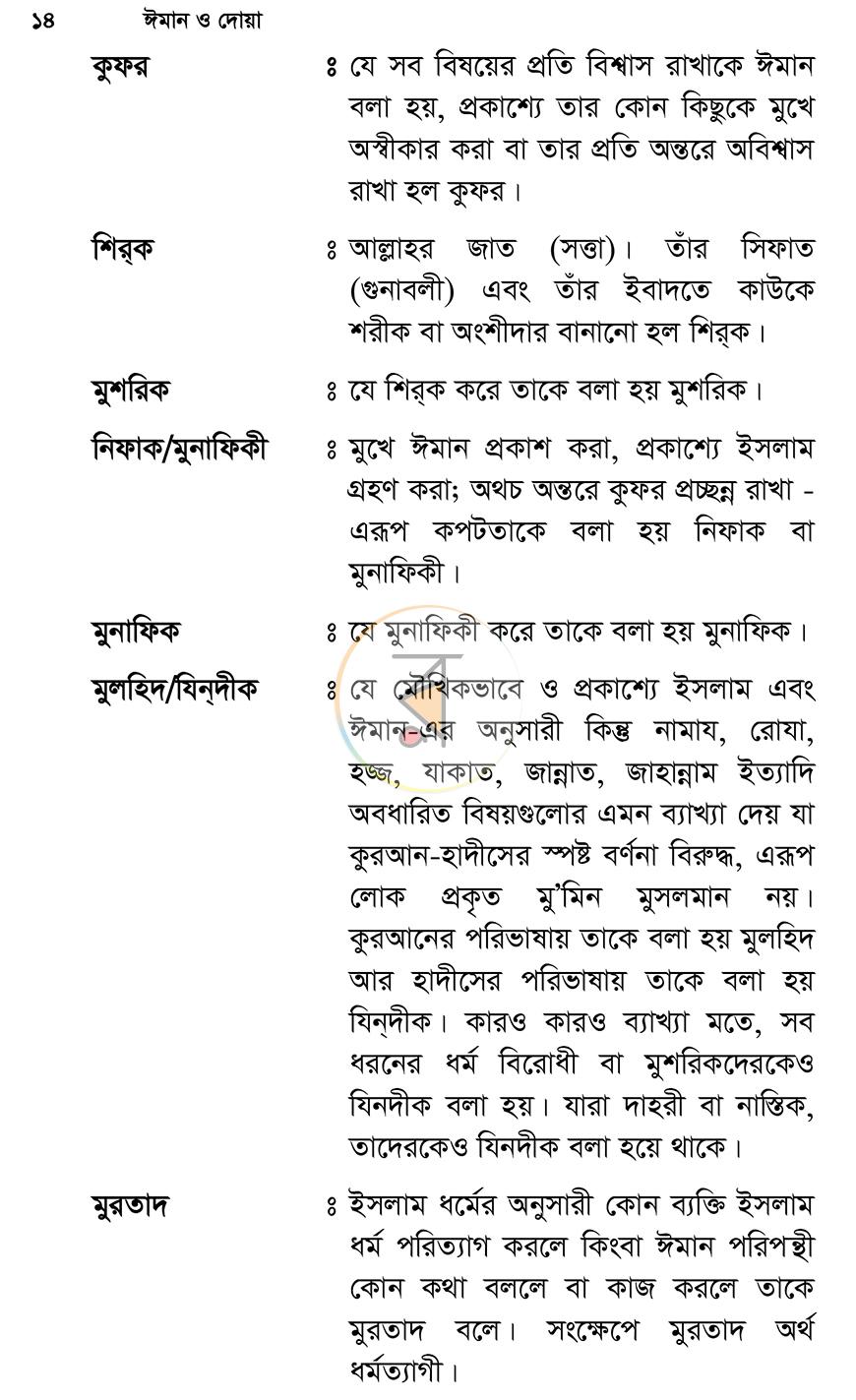 পাতা 11
