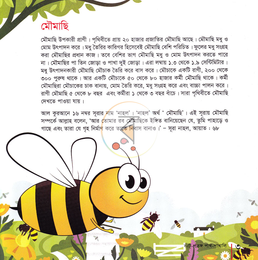 পাতা 33