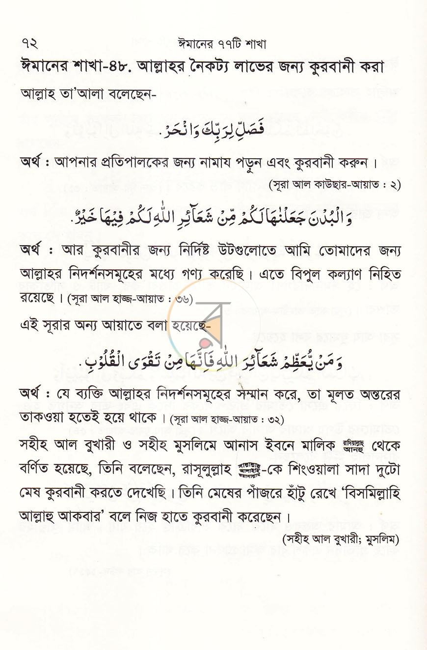 পাতা 13
