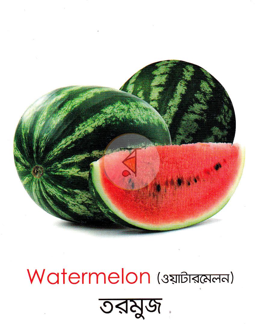 পাতা 2