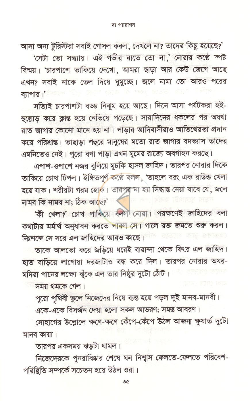 পাতা 13