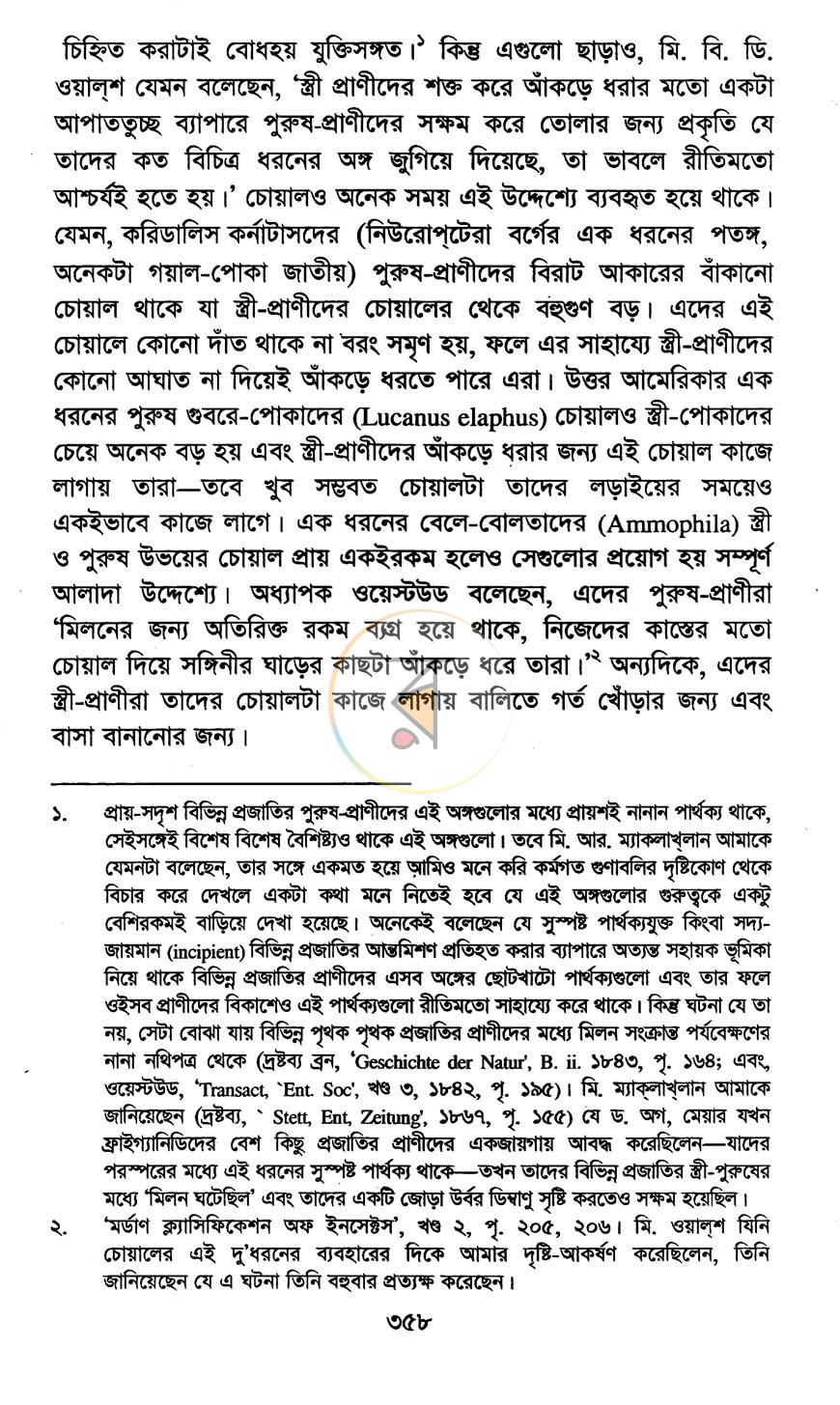 পাতা 10