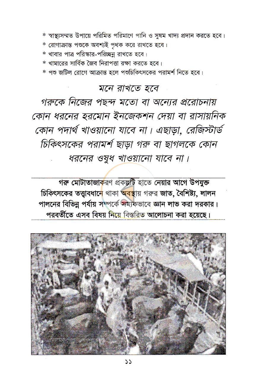 পাতা 10
