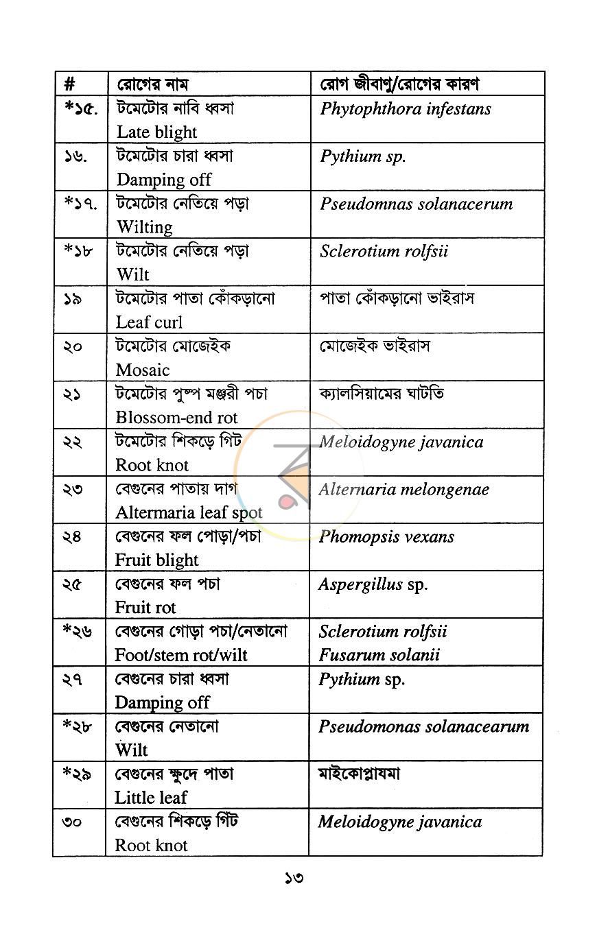 পাতা 11