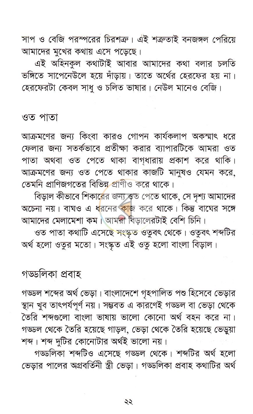 পাতা 11