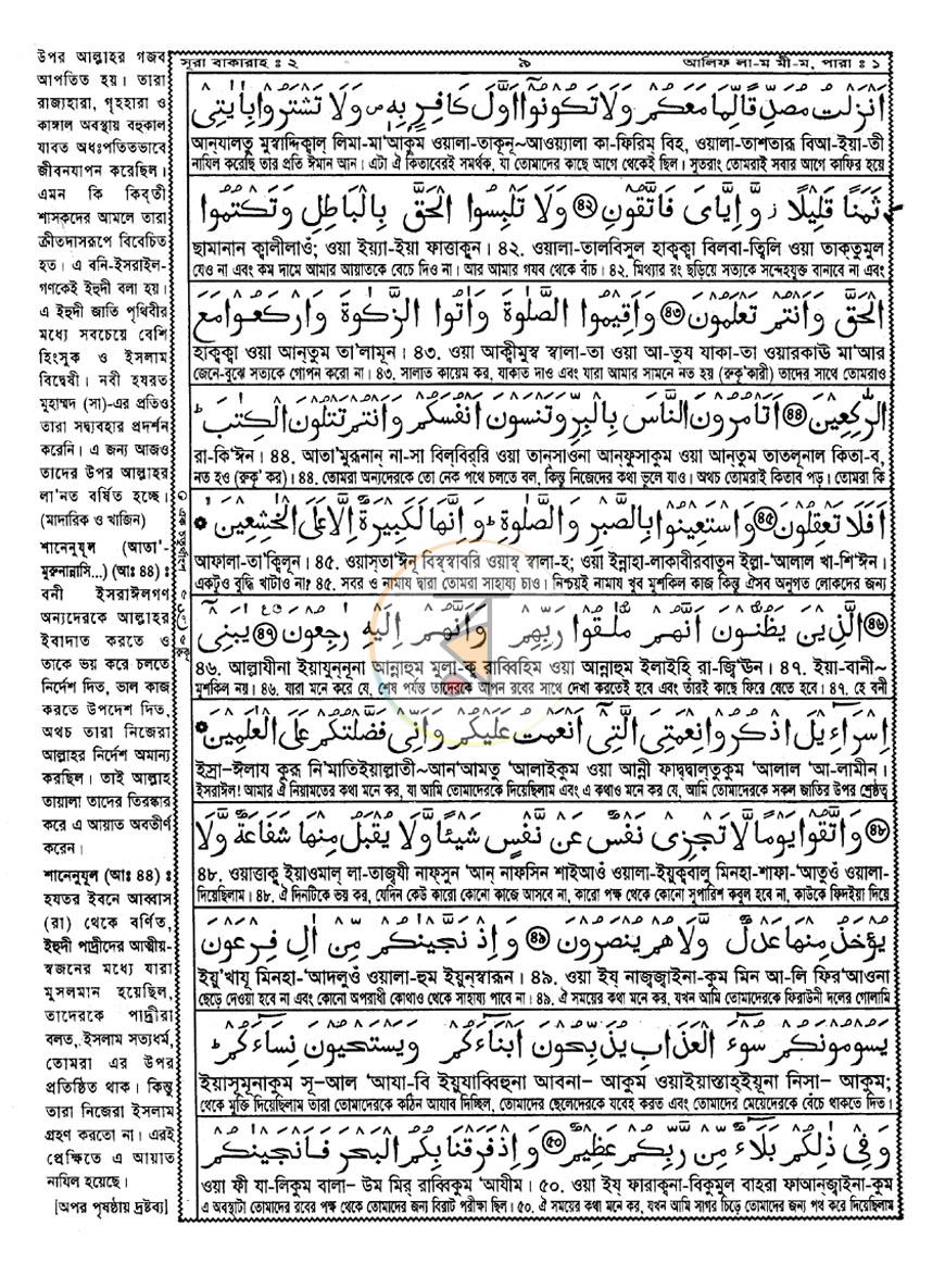 পাতা 11