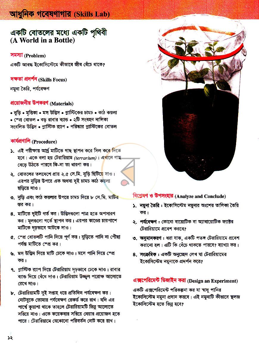 পাতা 12