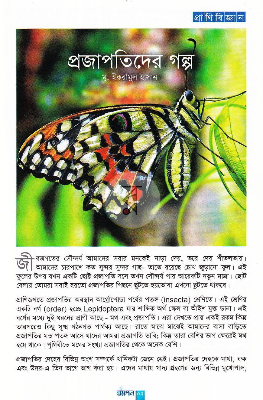 পাতা 33