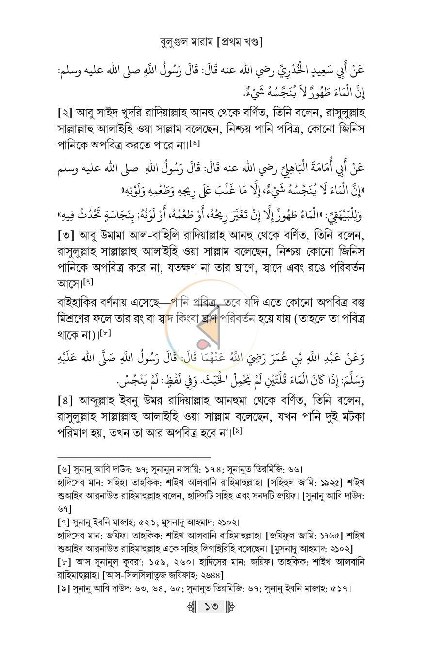 পাতা 10