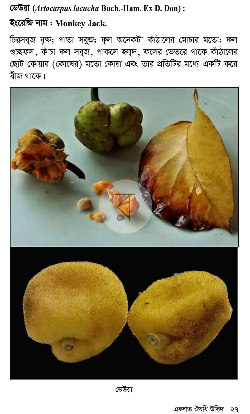 পাতা 18