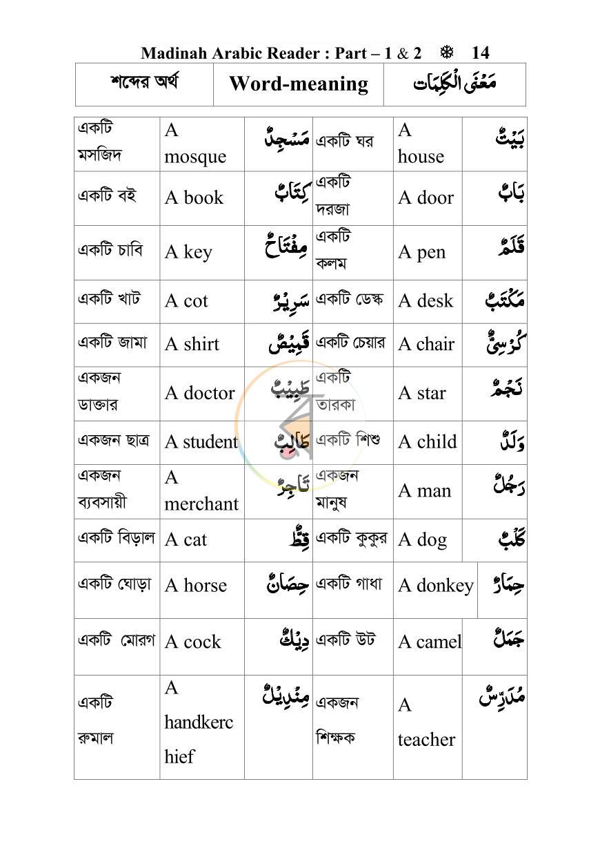 পাতা 13