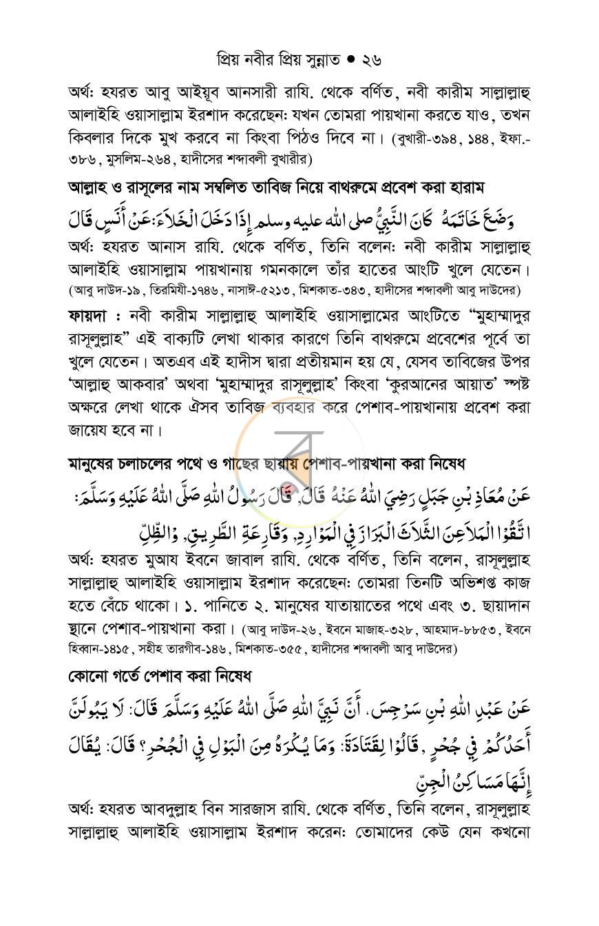 পাতা 25