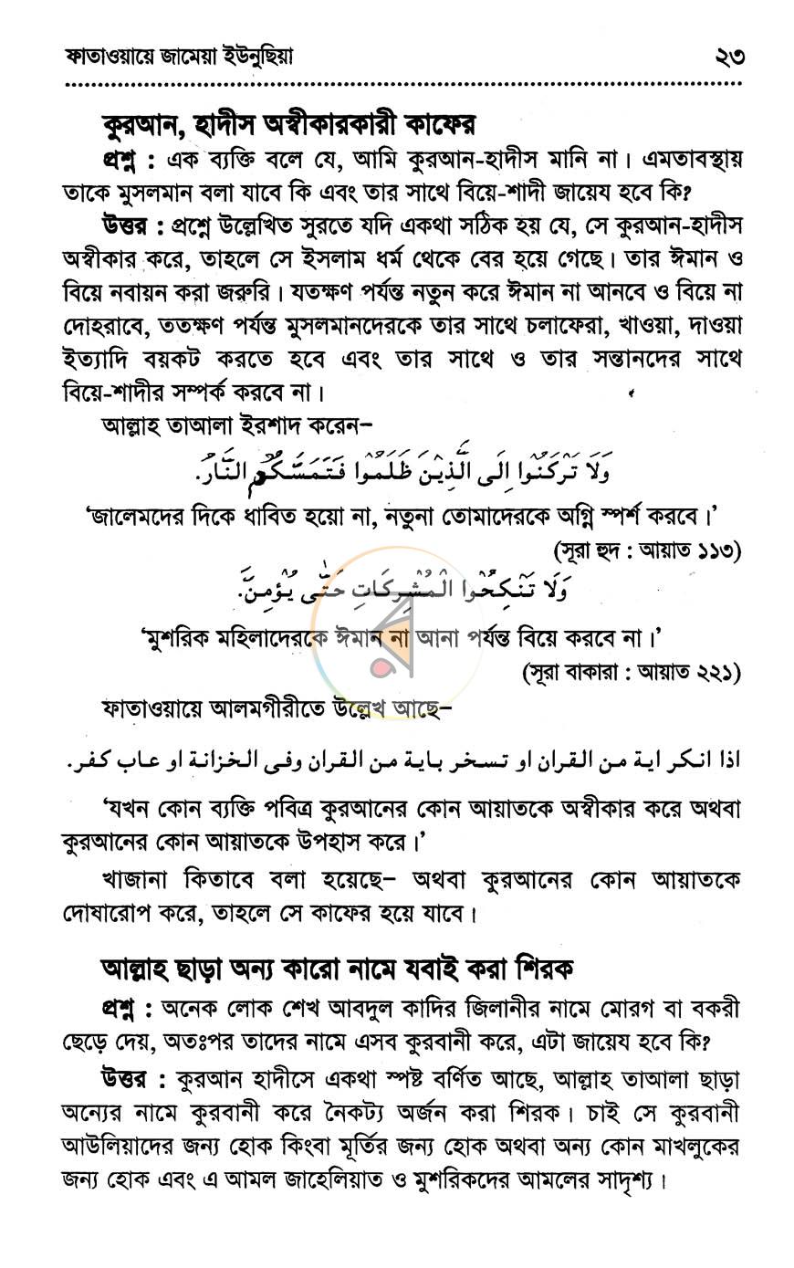 পাতা 11