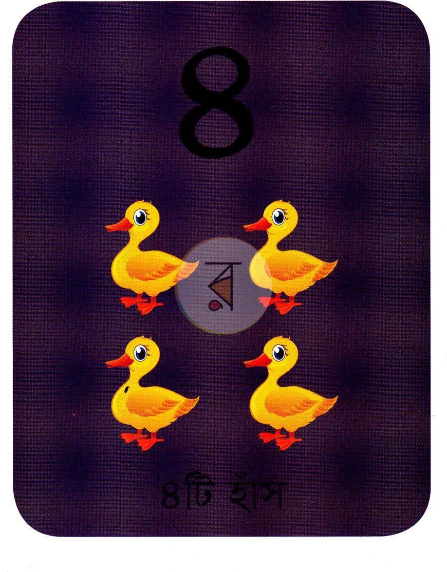 পাতা 4