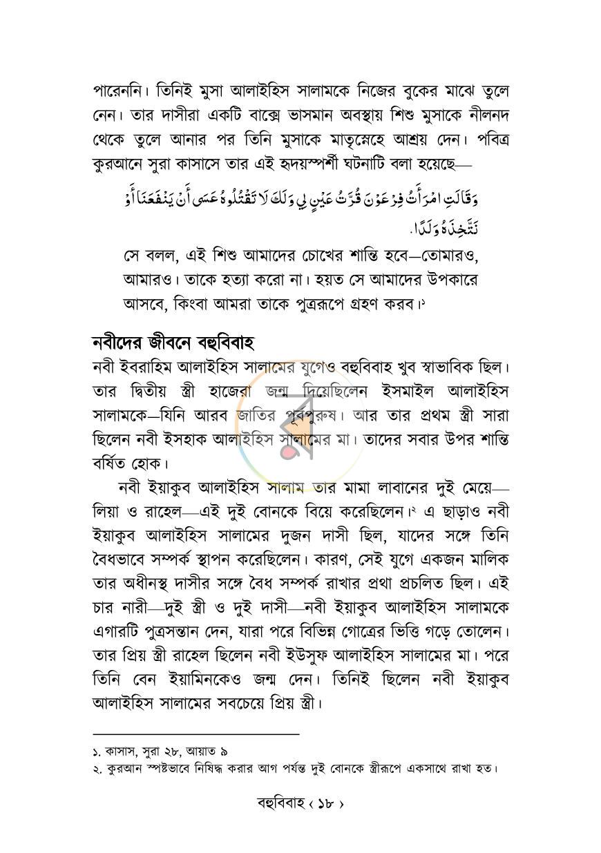 পাতা 13