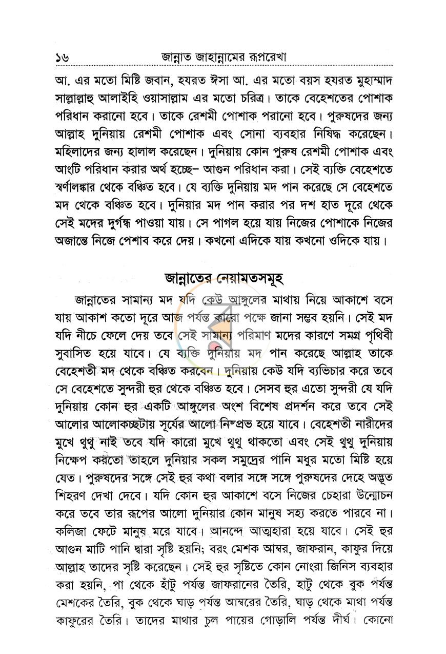 পাতা 11