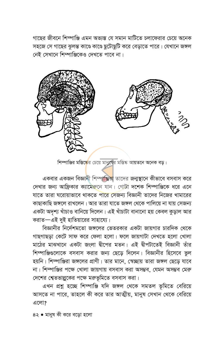 পাতা 19