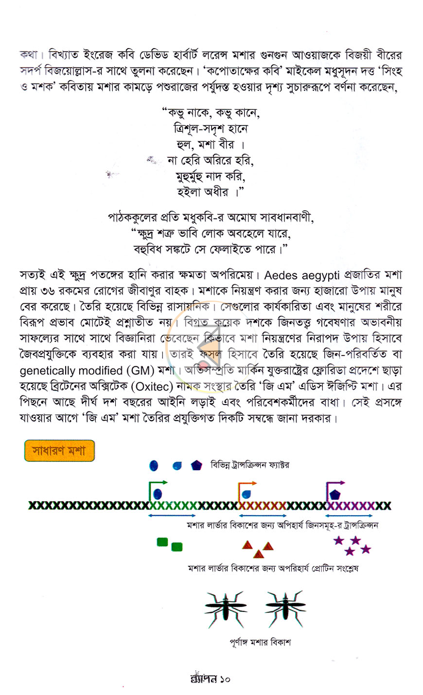 পাতা 7