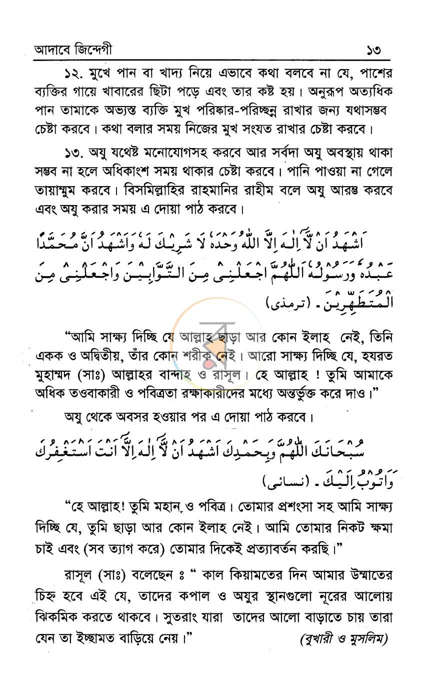 পাতা 10