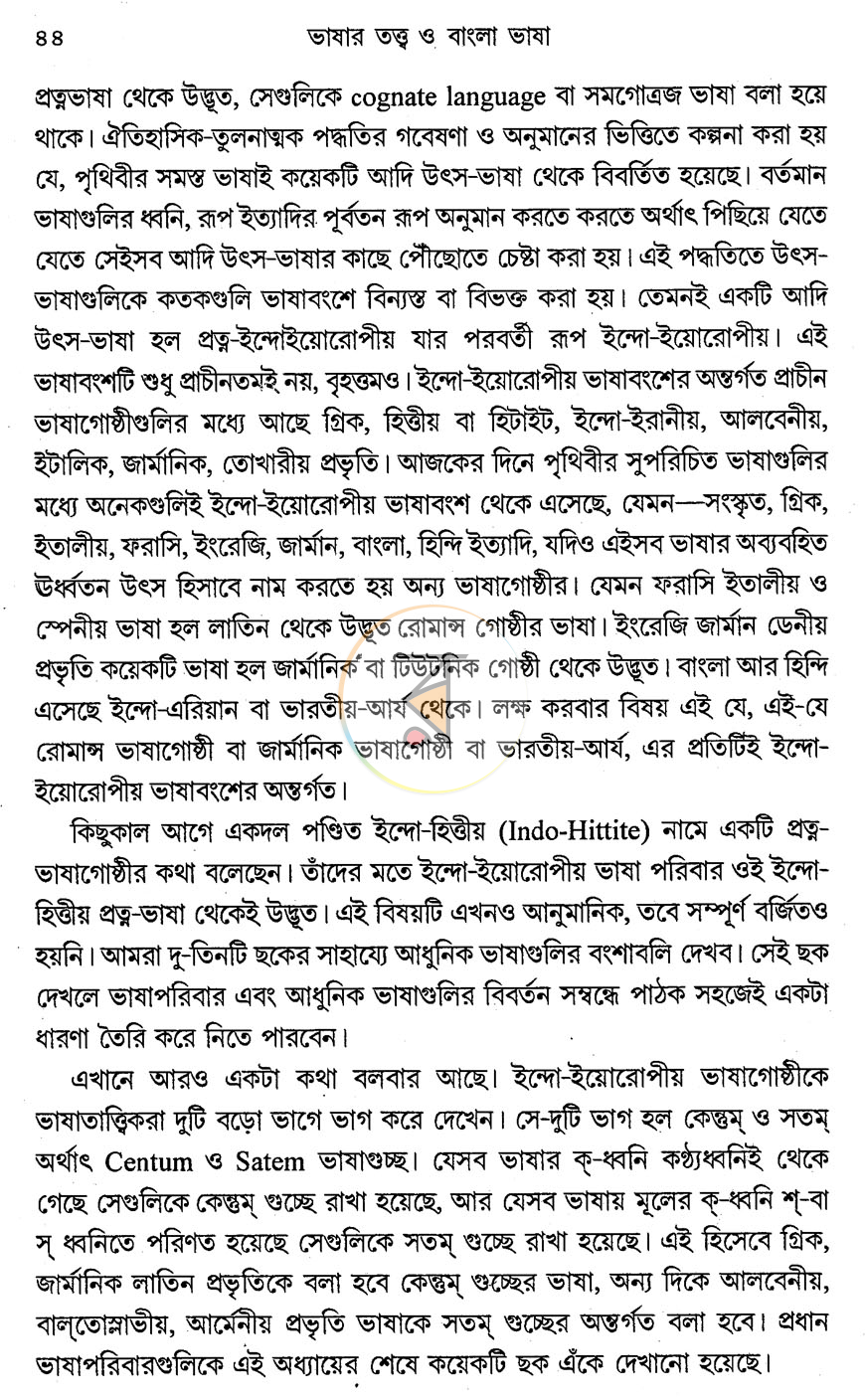 পাতা 13