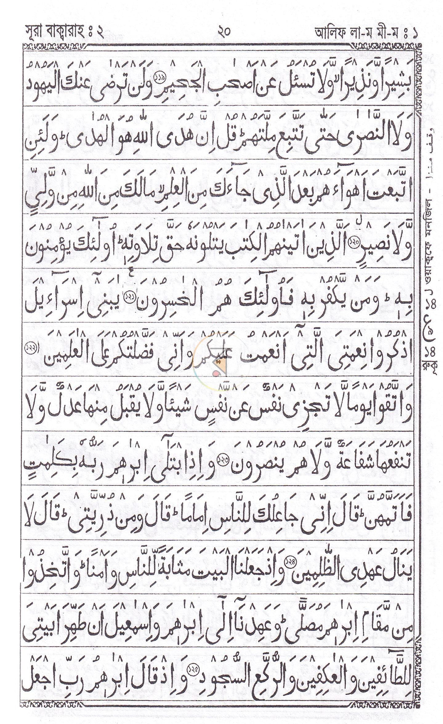 পাতা 11