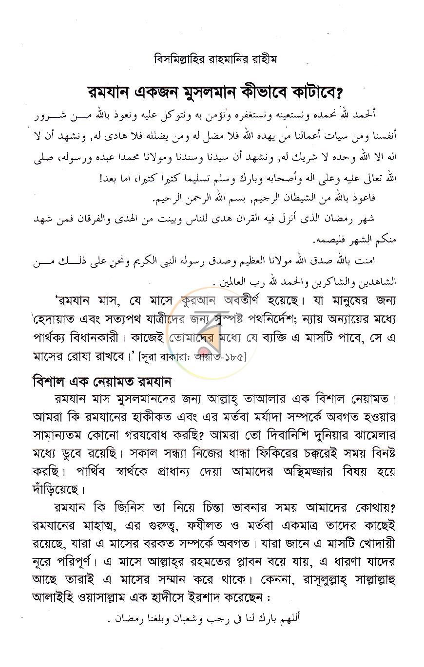 পাতা 11