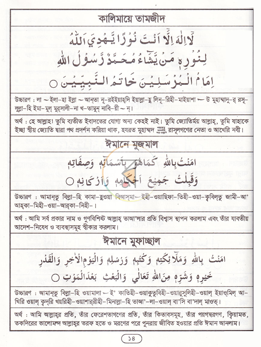 পাতা 8