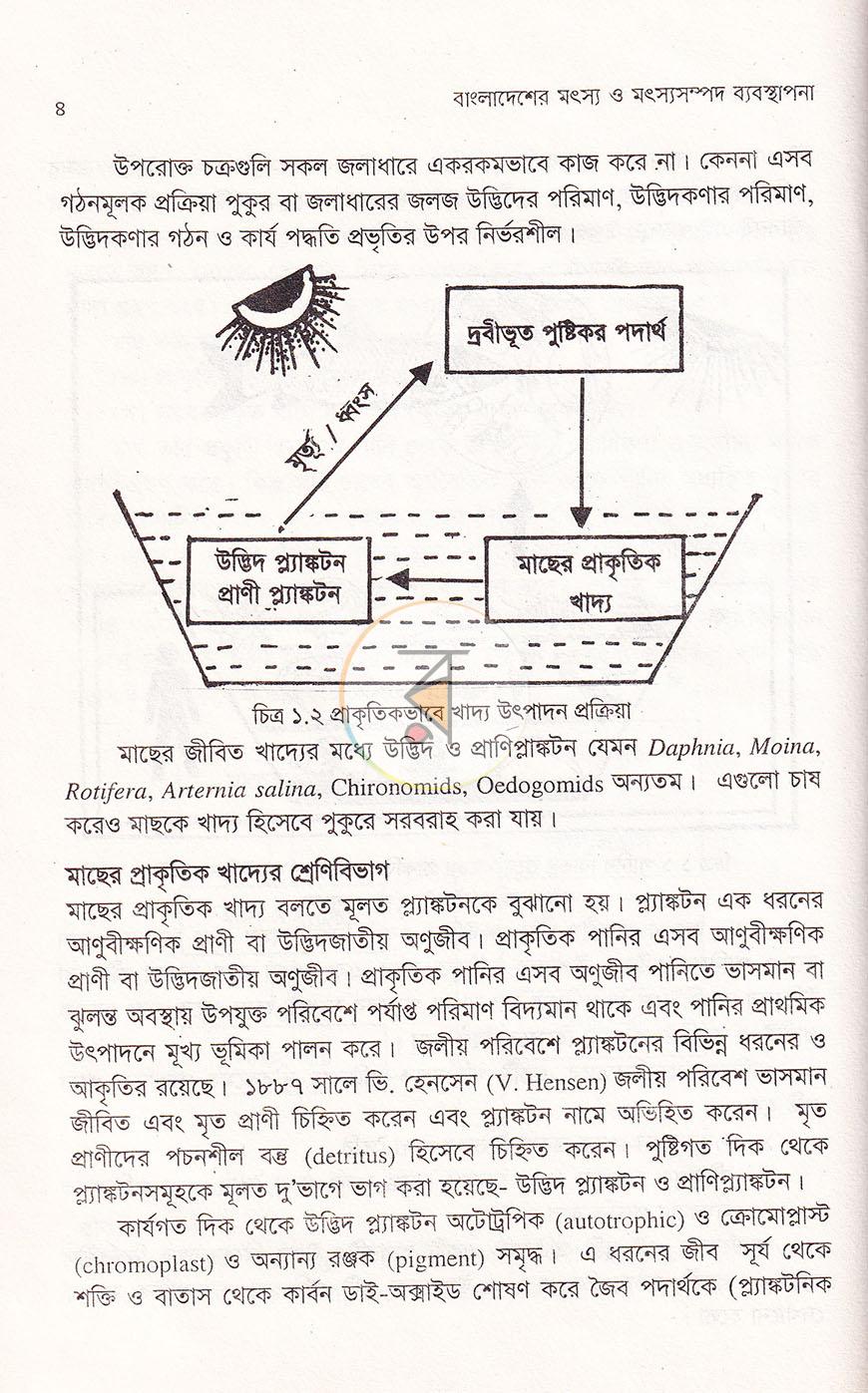 পাতা 8