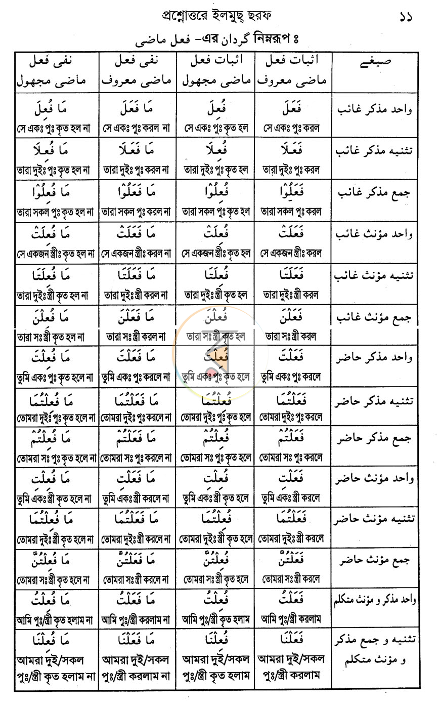 পাতা 9