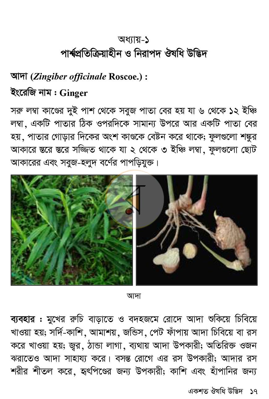 পাতা 10