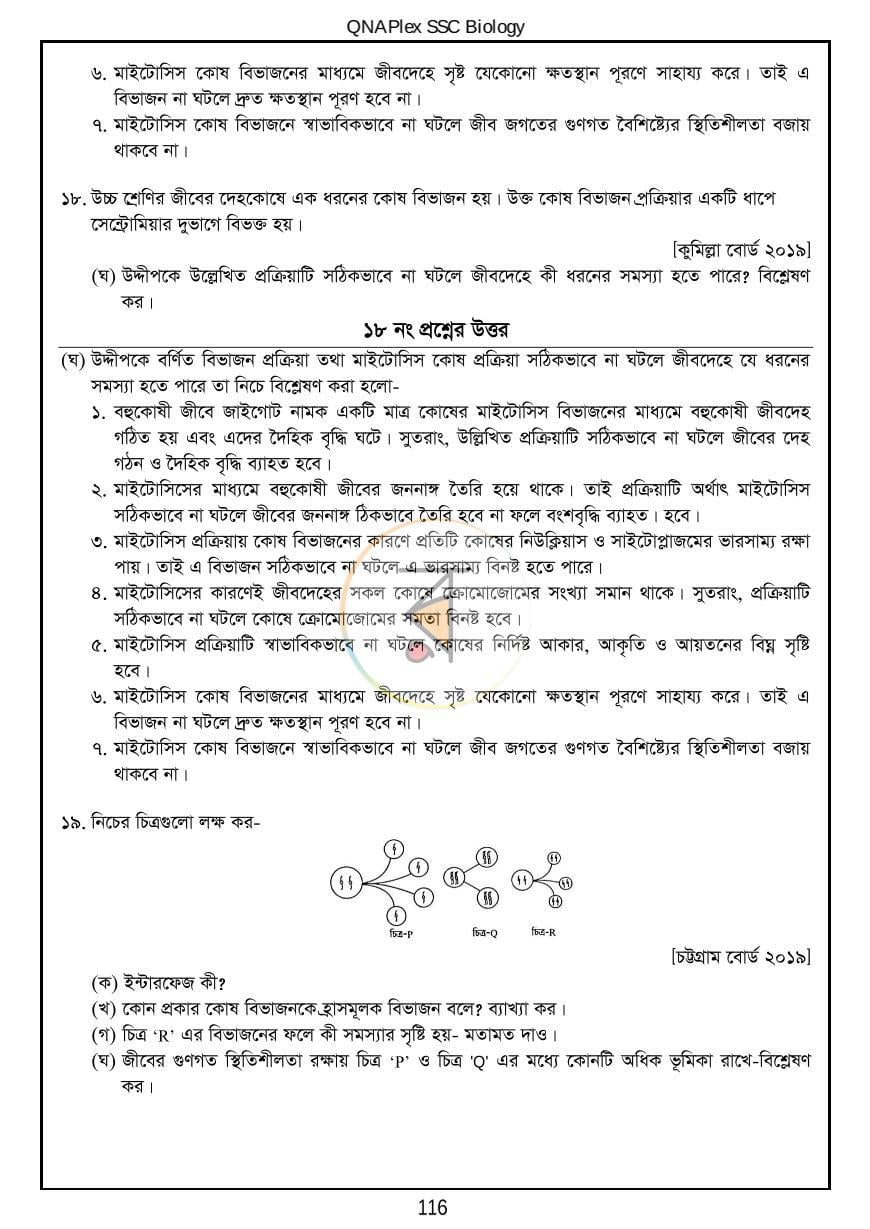 পাতা 14
