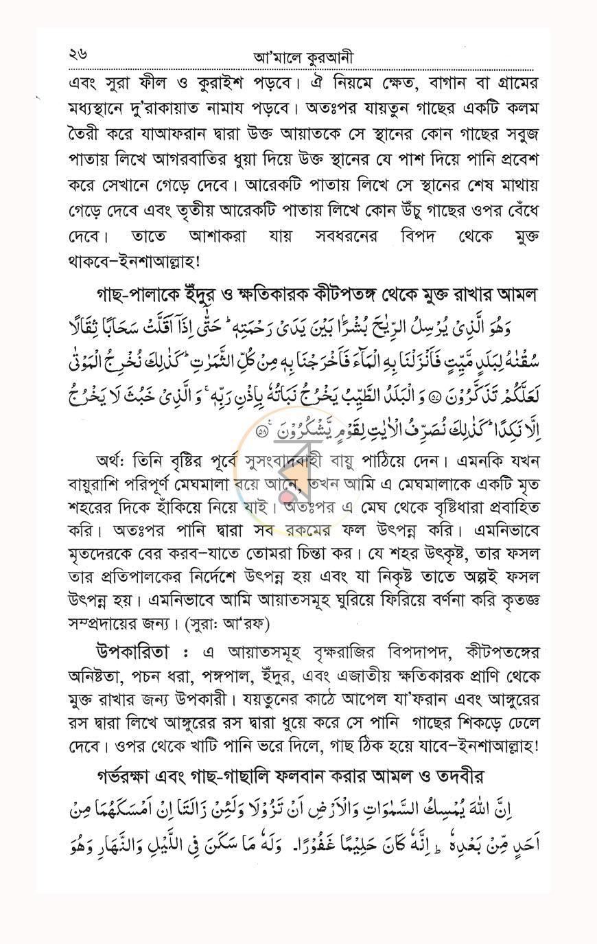 পাতা 8